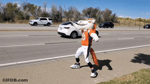 Broncos Mascot Wearing Number 10 Jersey GIF