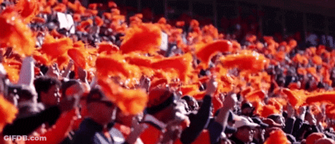 Broncos Orange Cheering Pompoms GIF