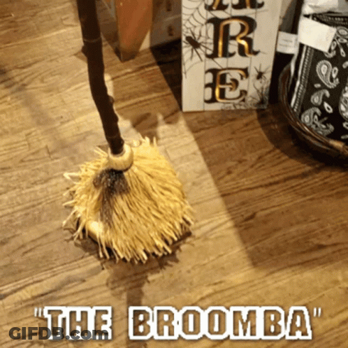Broom With The Broomba Text GIF
