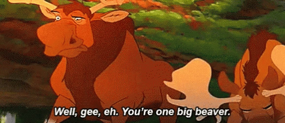 Brother Bear Beaver GIF
