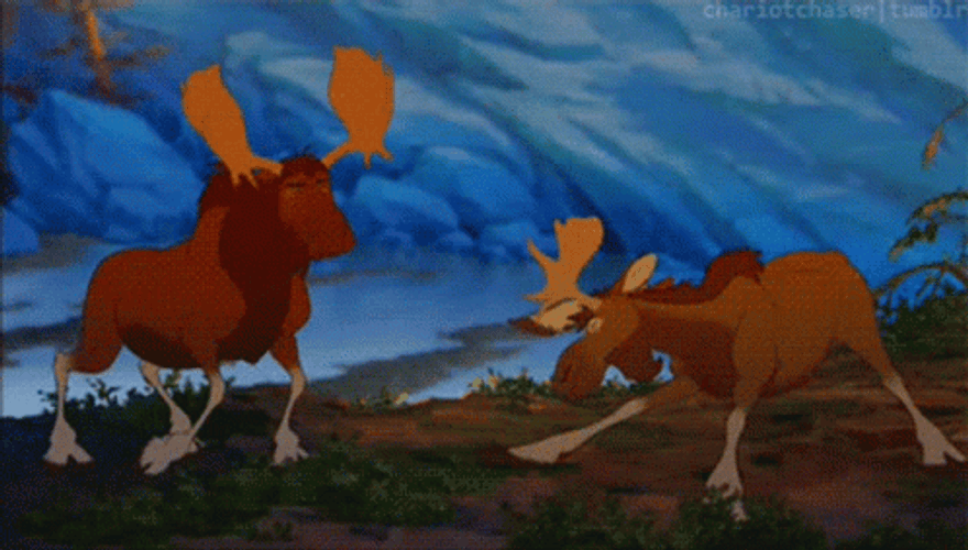 Brother Bear Stretching GIF