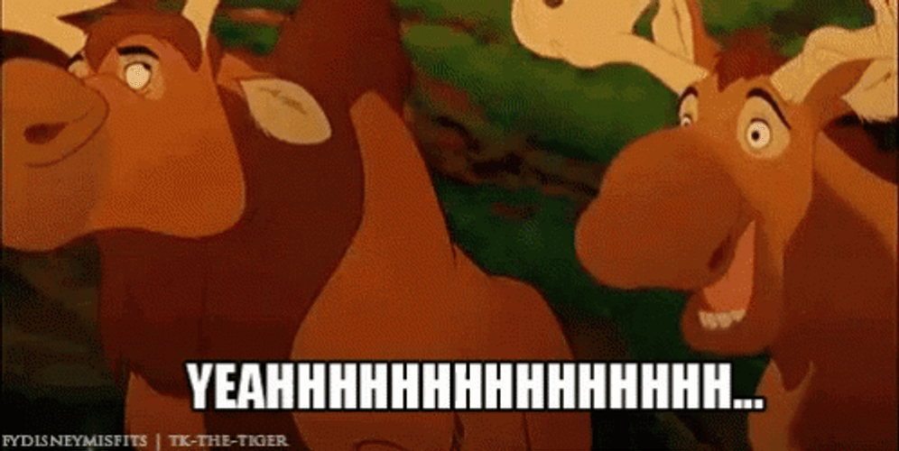 Brother Bear Tuke Disagree GIF