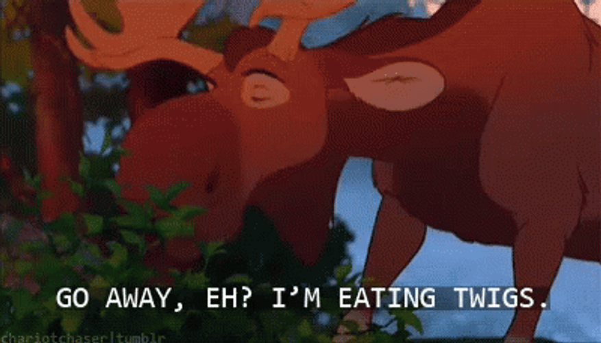 Brother Bear Tuke Eating Twigs GIF