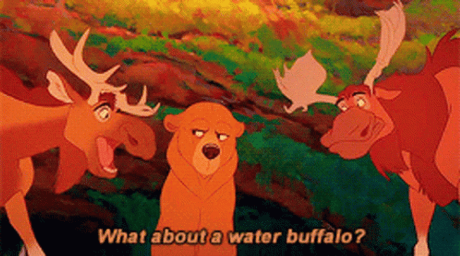 Brother Bear Water Buffalo GIF