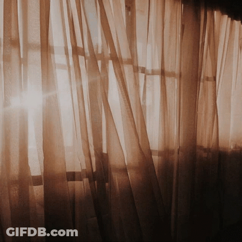 Brown Aesthetic Morning GIF