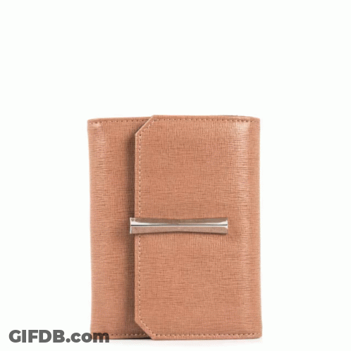 Brown And Black Wallet With Zipper GIF