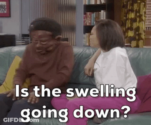 Brown And Tan Dog With Beehive Making Funny Face GIF