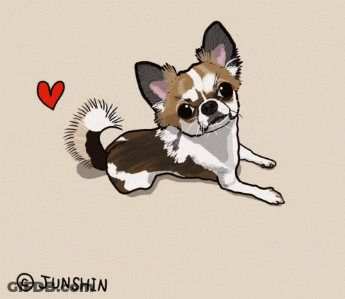 Brown And White Chihuahua Laying Down Angry GIF