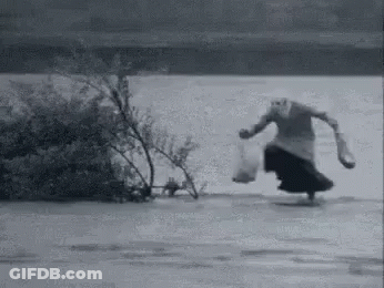 Brown And White Cow Saying Cow Out GIF