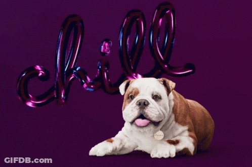 Brown And White Dog Laying In Front Of Chill Sign GIF