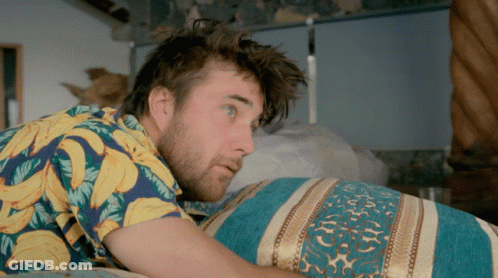 Brown And White Dog Laying On Bed GIF