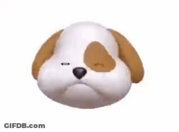 Brown And White Dog Making Funny Face GIF