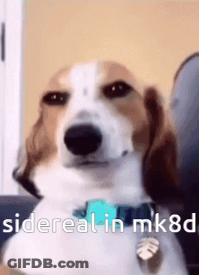 Brown And White Dog Sitting On Couch Sidereal In MK8D GIF