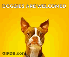 Brown And White Dog Smiling Doggies Are Welcomed GIF