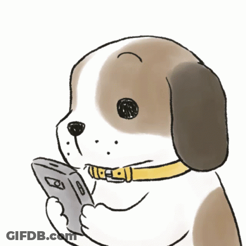 Brown And White Dog With Yellow Collar Looking At Cell Phone GIF