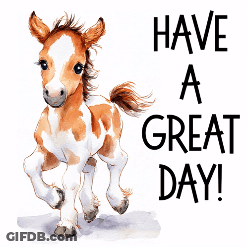 Brown And White Foal Have A Great Day GIF