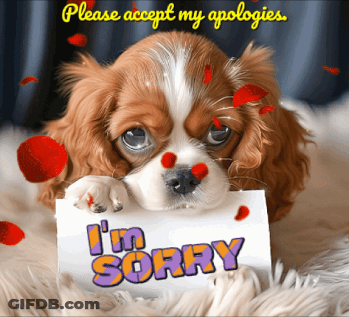 Brown And White Puppy Holding Sorry Sign GIF