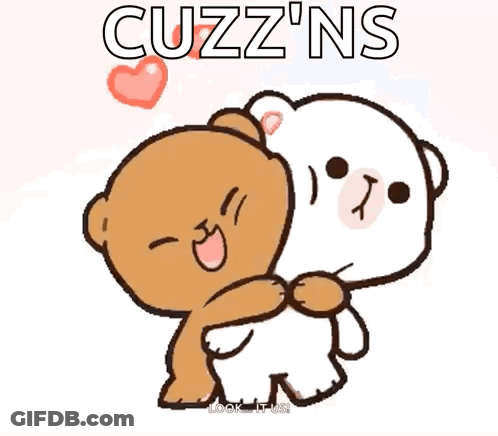 Brown And White Teddy Bear Hugging With Cuzz 'Ns GIF