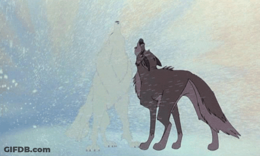 Brown And White Wolf Howl GIF