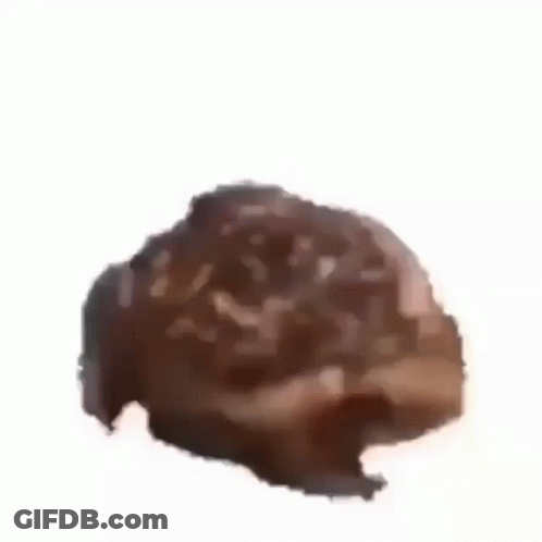 Brown Animal Head GIF