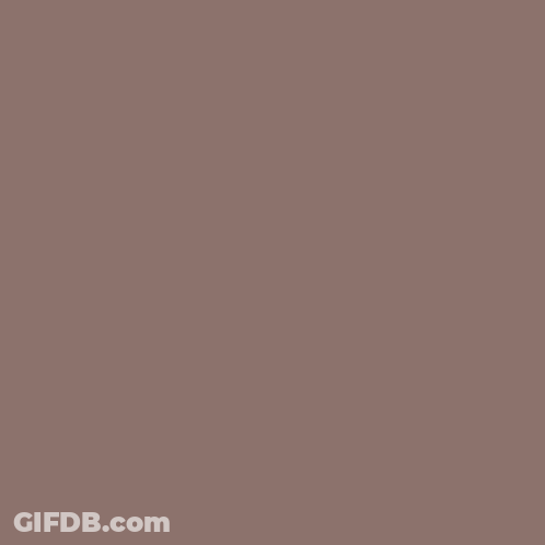 Brown Background Hustle Harder GIF