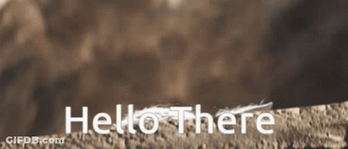 Brown Background Saying Hello There GIF