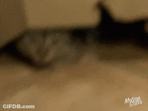 Brown Background With Motion Stills GIF