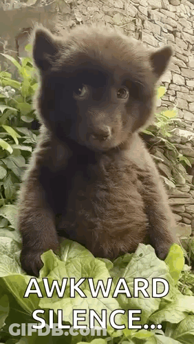 Brown Bear Cub Sitting On Lettuce Awkward Silence GIF