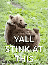 Brown Bear Holding Baby Bear Yall Stink At This GIF