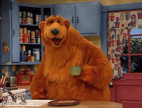 Brown Bear Holding Cup In Kitchen GIF