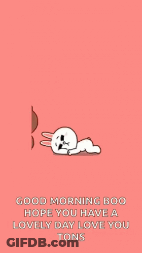 Brown Bear Hugging White Rabbit GIF