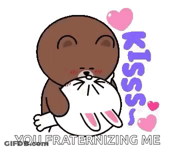 Brown Bear Kissing White Cat GIF