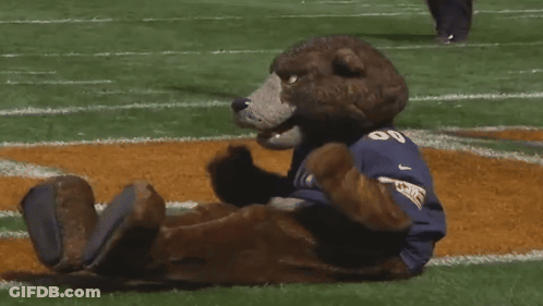 Brown Bear Mascot In Blue Shirt Saying UC GIF