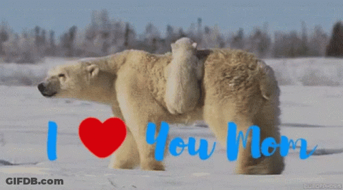 Brown Bear Next To White Rabbit Saying Issues GIF