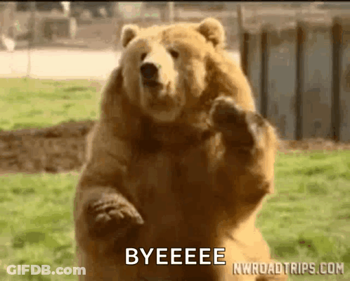Brown Bear Saying Bye GIF