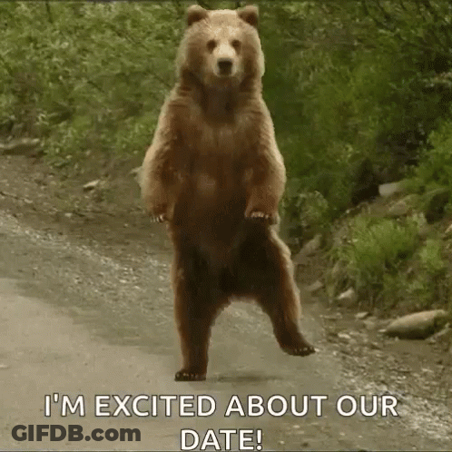 Brown Bear Standing Hind Legs I'm Excited About Our Date GIF