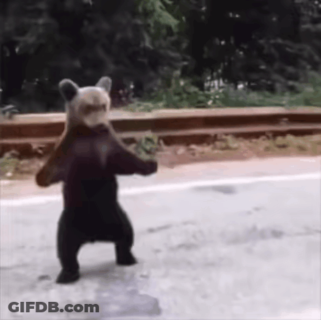 Brown Bear Standing On Sidewalk GIF