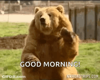 Brown Bear Standing Saying Good Morning GIF