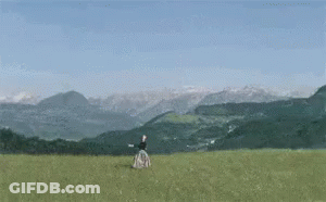 Brown Bear Tickling Bunny With Stick GIF