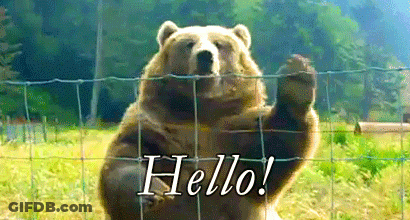 Brown Bear Waving Hello GIF