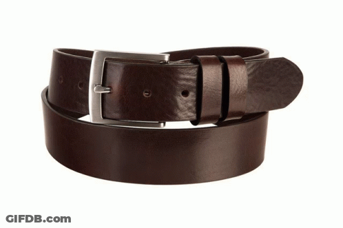 Brown Belt With Silver Buckle GIF