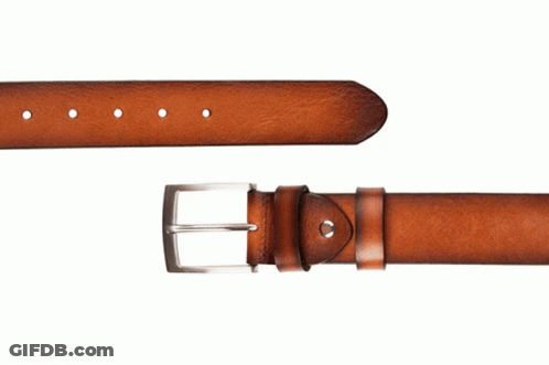 Brown Belt With Silver Buckle GIF