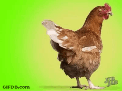 Brown Chicken Spreading Wings GIF