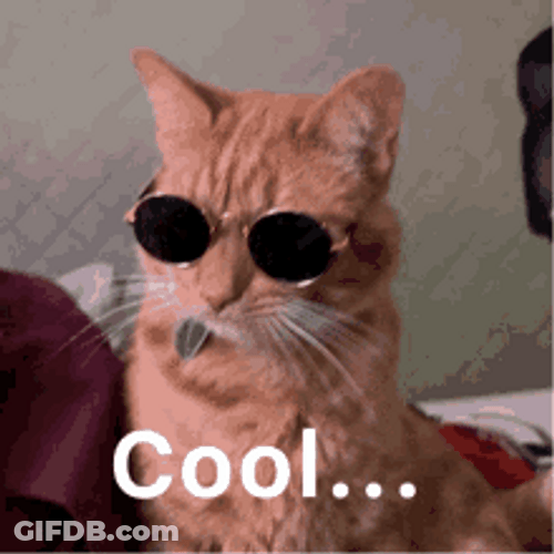 Brown Cool Cat Sitting Wear Sunglasses GIF