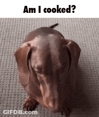Brown Dachshund Eyes Closed Am I Cooked GIF