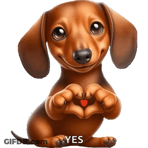Brown Dachshund Making Heart Shape With Paws GIF