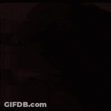 Brown Dog Close Up With Yellow Background GIF