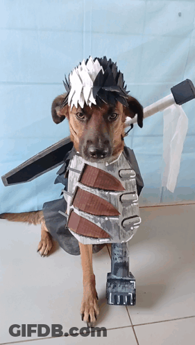 Brown Dog In Costume With Sword And Armor GIF