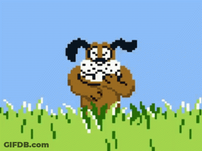 Brown Dog Laughing GIF