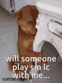 Brown Dog Leaning Against Table Saying Will Someone Play SM LC With Me GIF
